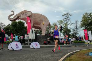 BIB: 
                            <button type="button" onclick="openModal(26528887)" class="btn btn-primary btn-sm float-right btn-popup" data-toggle="modal" data-target=".modal-high-quality">
                        <i class="fas fa-shopping-cart"></i> Add to Cart
                    </button>
                                            <button type="button" onclick="isThisMe(26528887, true)" class="btn btn-success btn-sm float-right btn-popup btn-isme hidden" data-toggle="tooltip" data-placement="bottom" title="นี่คือรูปของคุณใช่ไหม คลิกที่นี่เพื่อเอาเข้าอัลบั้ม">
                        <i class="fas fa-plus"></i> Add to album
                    </button>
                    <button type="button" onclick="isThisMe(26528887, false)" class="btn btn-warning btn-sm float-right btn-popup btn-isnotme hidden">
                        <i class="fas fa-ban"></i> Remove from album
                    </button>